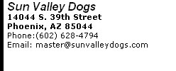 Sun Valley Dogs